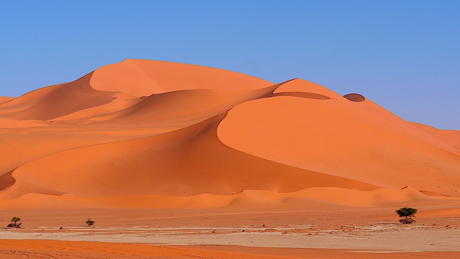 Expédition Tadrart Rouge - Patrimoine Rupestre et Géologie Exceptionnelle