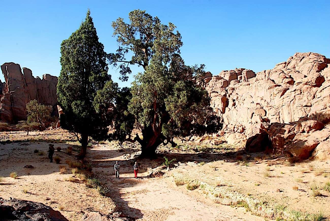 Expédition chamelière authentique dans le Tassili n'Ajjer - Territoire des Kel Medak